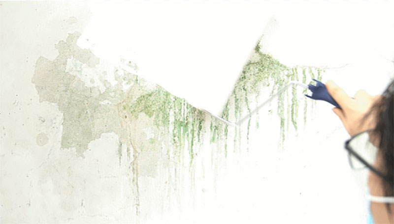 英国·威廉希尔(williamhill)唯一中文官方网站